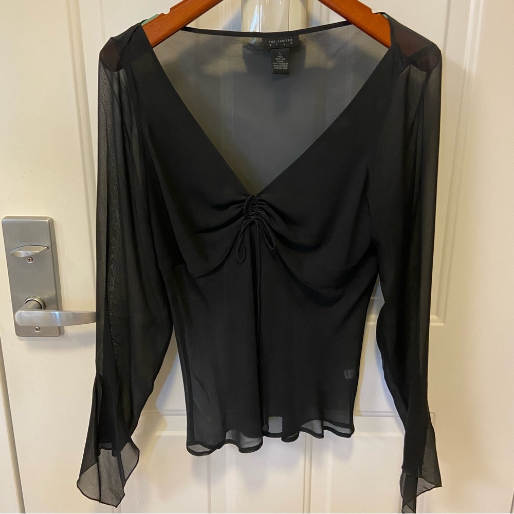 NWOT Silk Blouse with Sheer Sleeves and Bottom